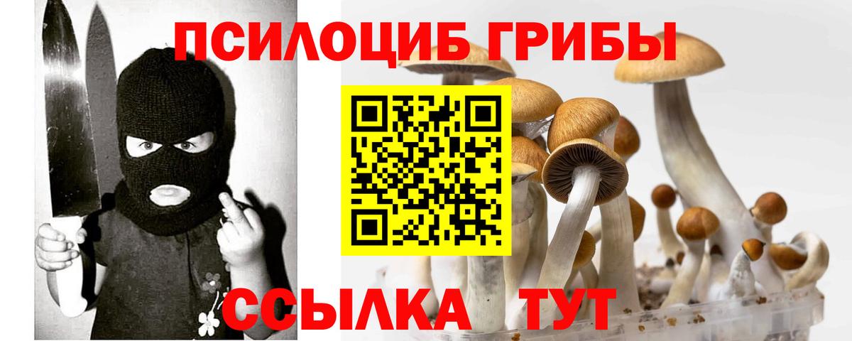Псилоцибиновые грибы Psilocybe Сертолово
