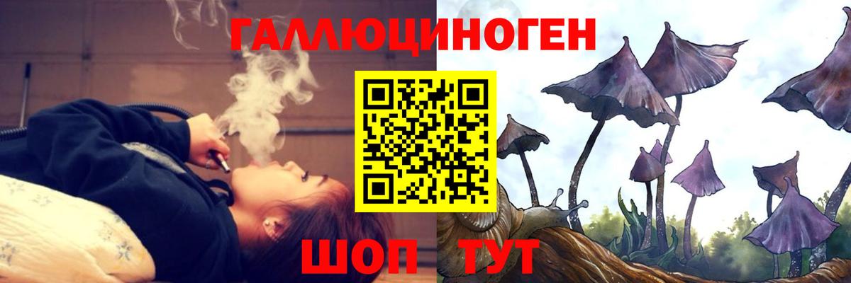 купить  сайты  Вход с VPN  Сертолово  Псилоцибиновые грибы Psilocybe  Псилоцибиновые грибы Magic Shrooms 